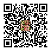 广州酸嘢-酸品-酸料-酸野水果做法与配料学费多少钱